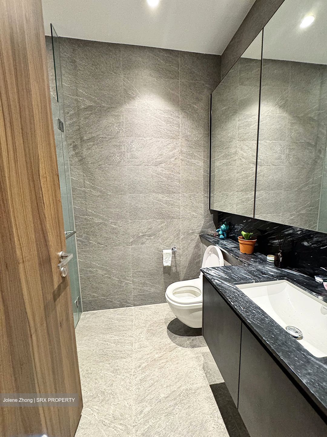 Daintree Residence (D21), Condominium #574907231